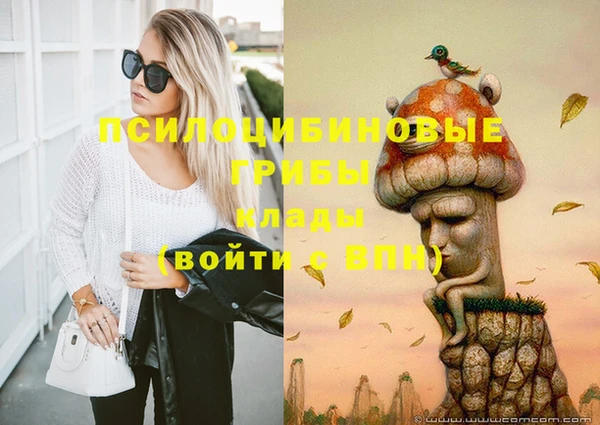 прущая мука Бородино